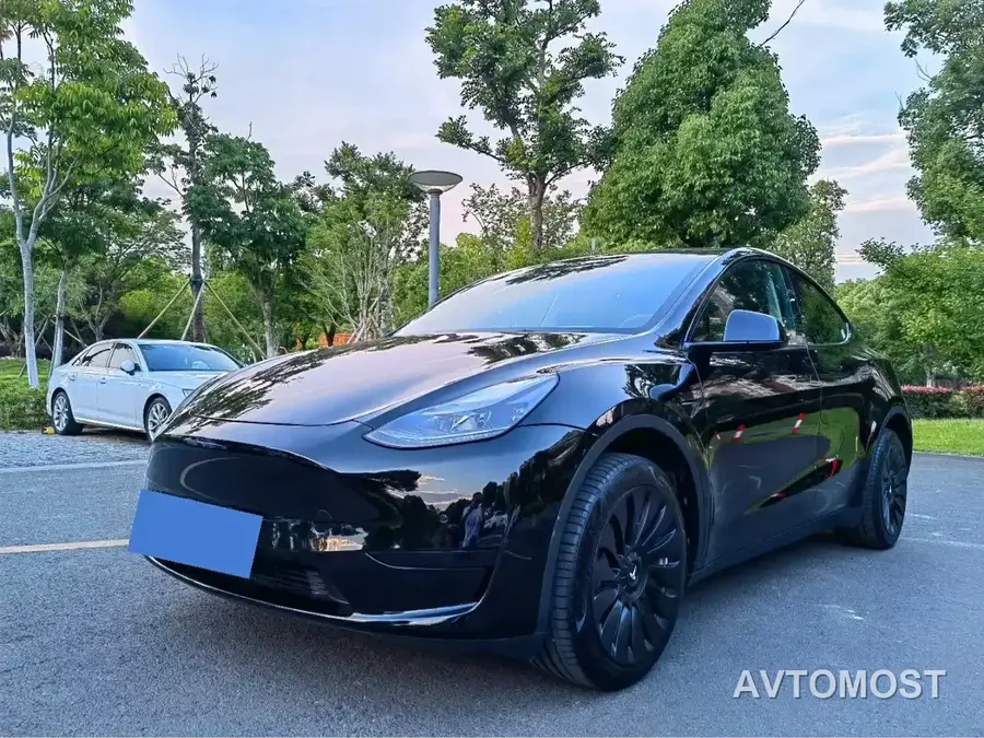 Tesla Model Y 2022 Rear-Wheel Drive Version