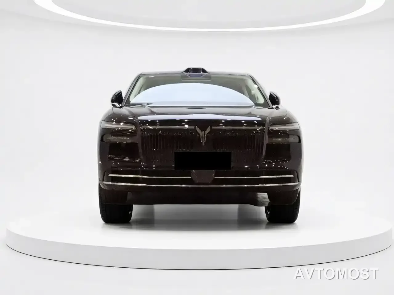 VOYAH Zhuiguang L 2025 Mid-configuration Model — фото 1