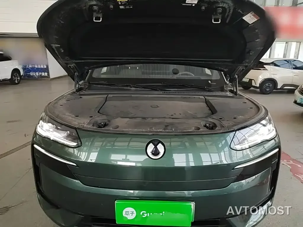 Denza N9 2025 Model Prestige Edition — фото 14