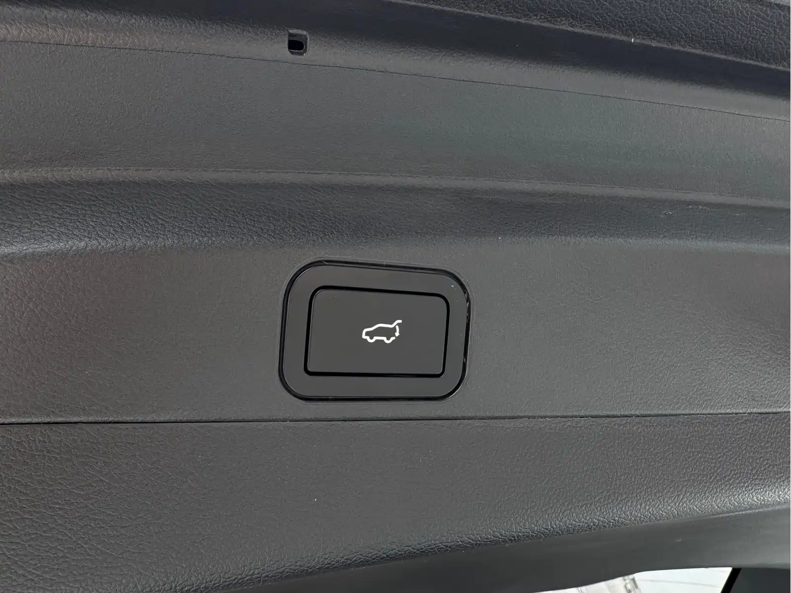 Weltmeister W6 2021 520km ACE Ultimate Smart Edition — фото 12