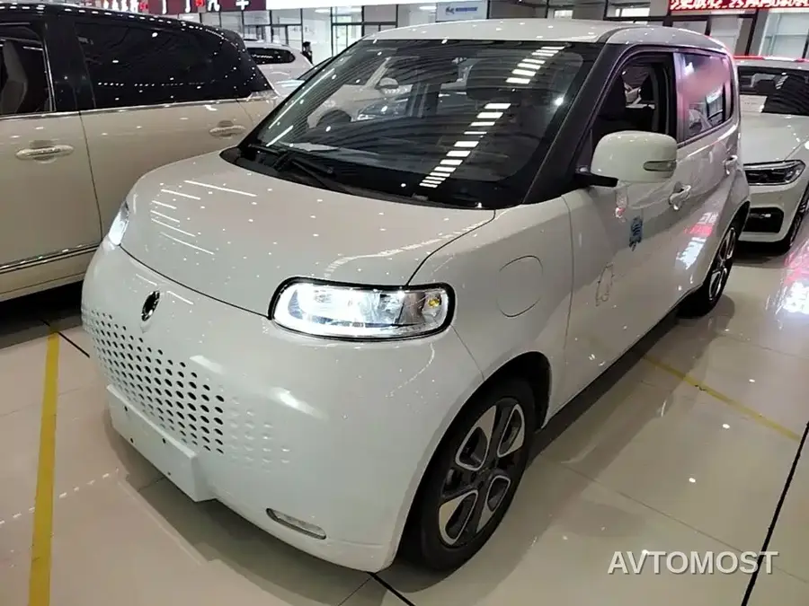 Ora White Cat 2020 305km Luxury
