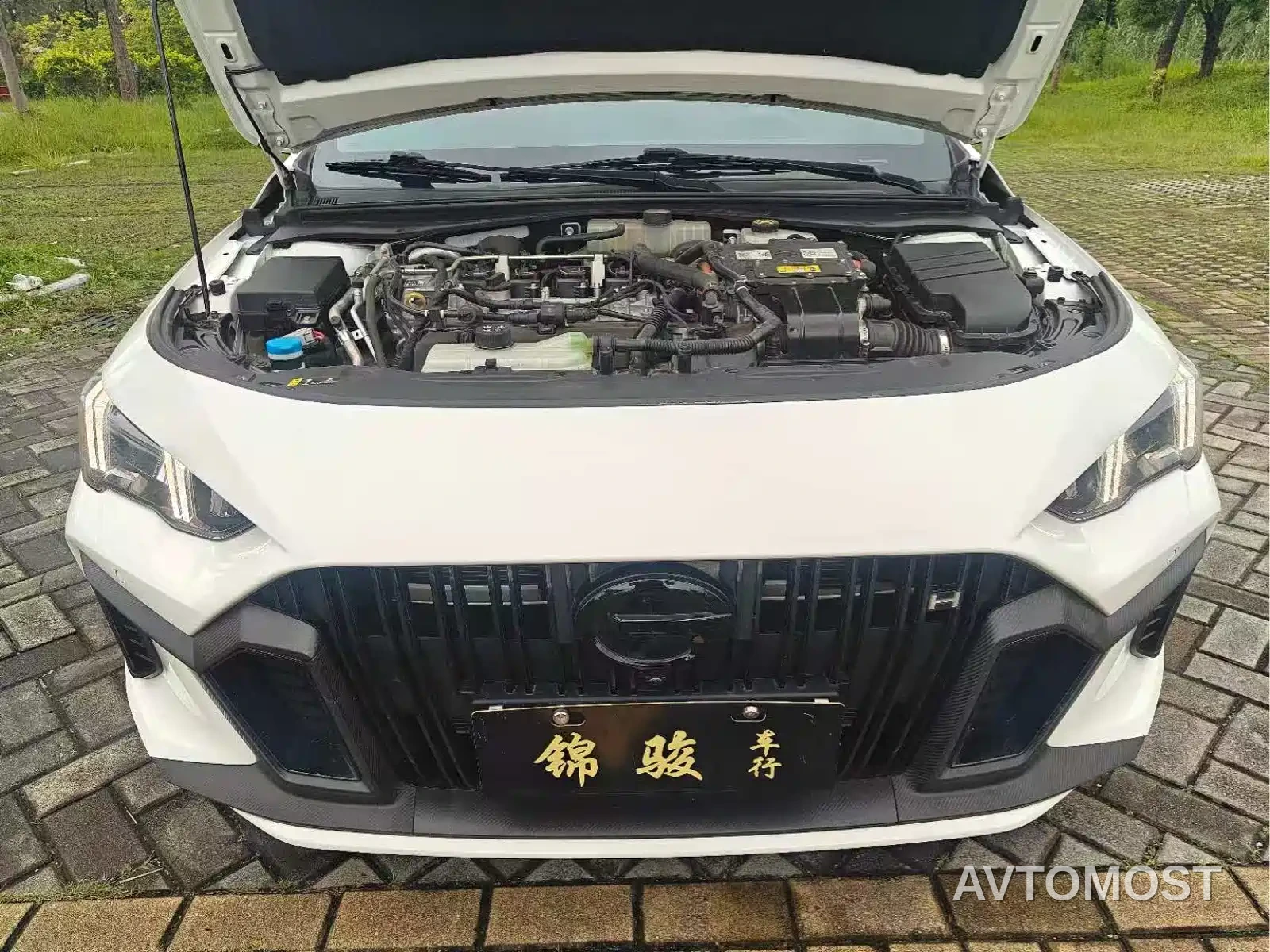 GAC Trumpchi Emkoo 2023 Shadow Leopard H Smart Hybrid — фото 13