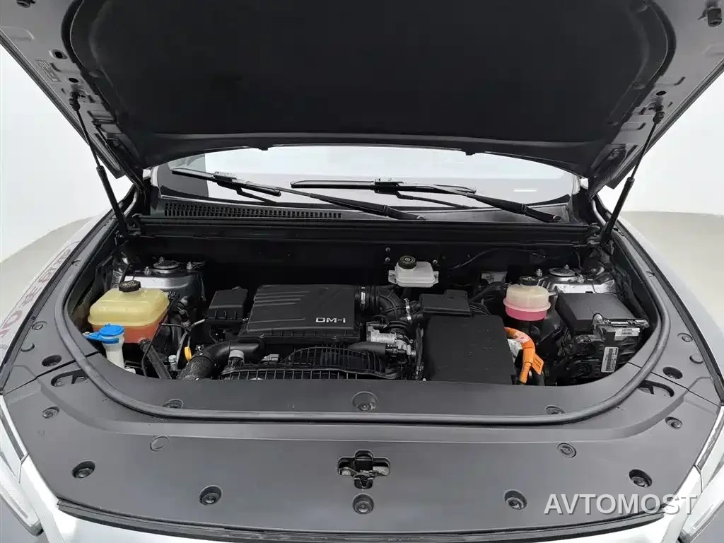 BYD Song Pro New Energy 2022 DM-i 51km Premium — фото 5
