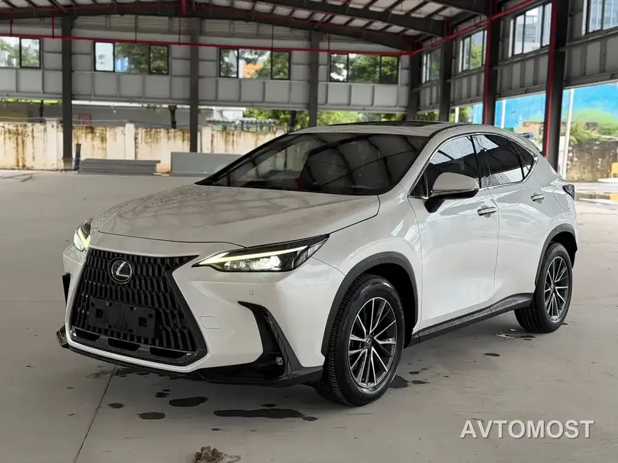 Lexus NX New Energy 2022 400h+ Joy Edition