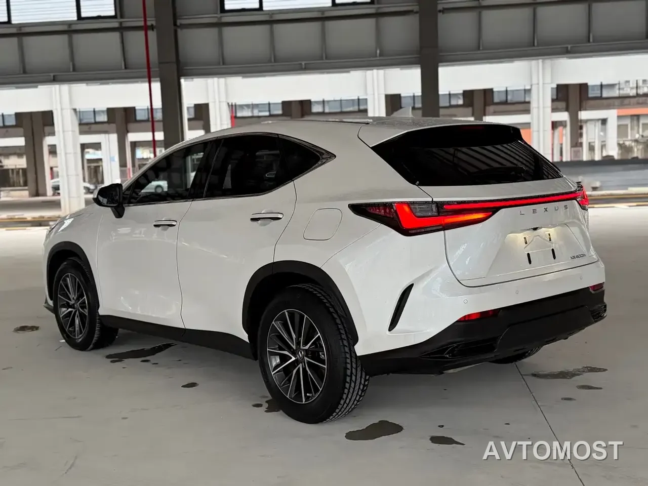 Lexus NX New Energy 2022 400h+ Joy Edition — фото 9