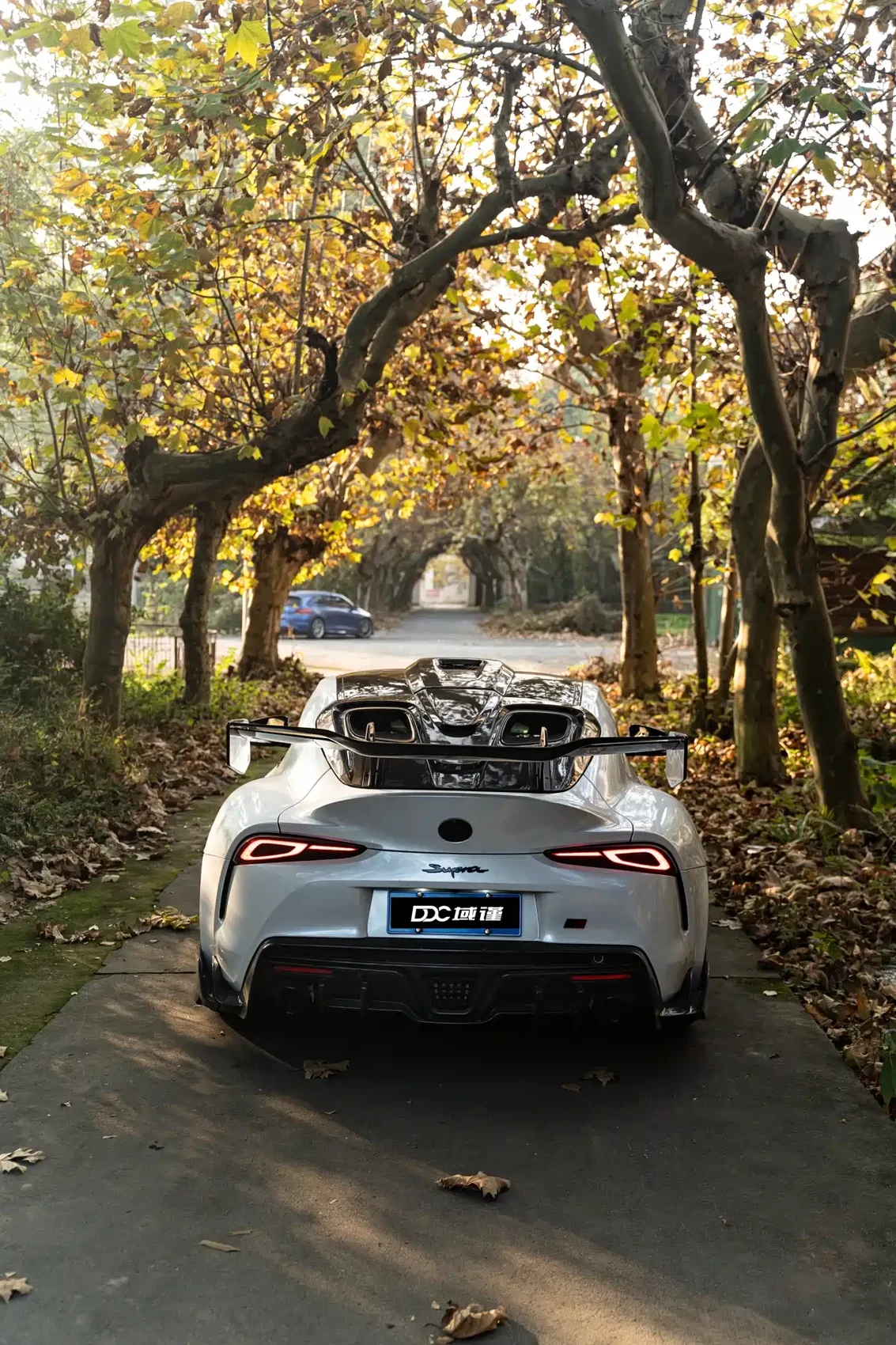 Toyota Supra 2022 GR SUPRA 3.0T Distant Mountain Gray Limited Edition — фото 4