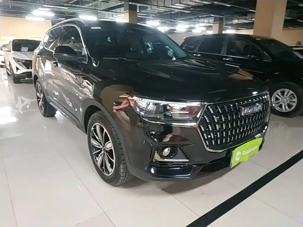 Haval H6 2023 National Trend Edition 1.5T Automatic Champion — фото 4