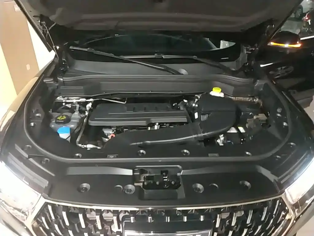 Haval H6 2023 National Trend Edition 1.5T Automatic Champion — фото 20
