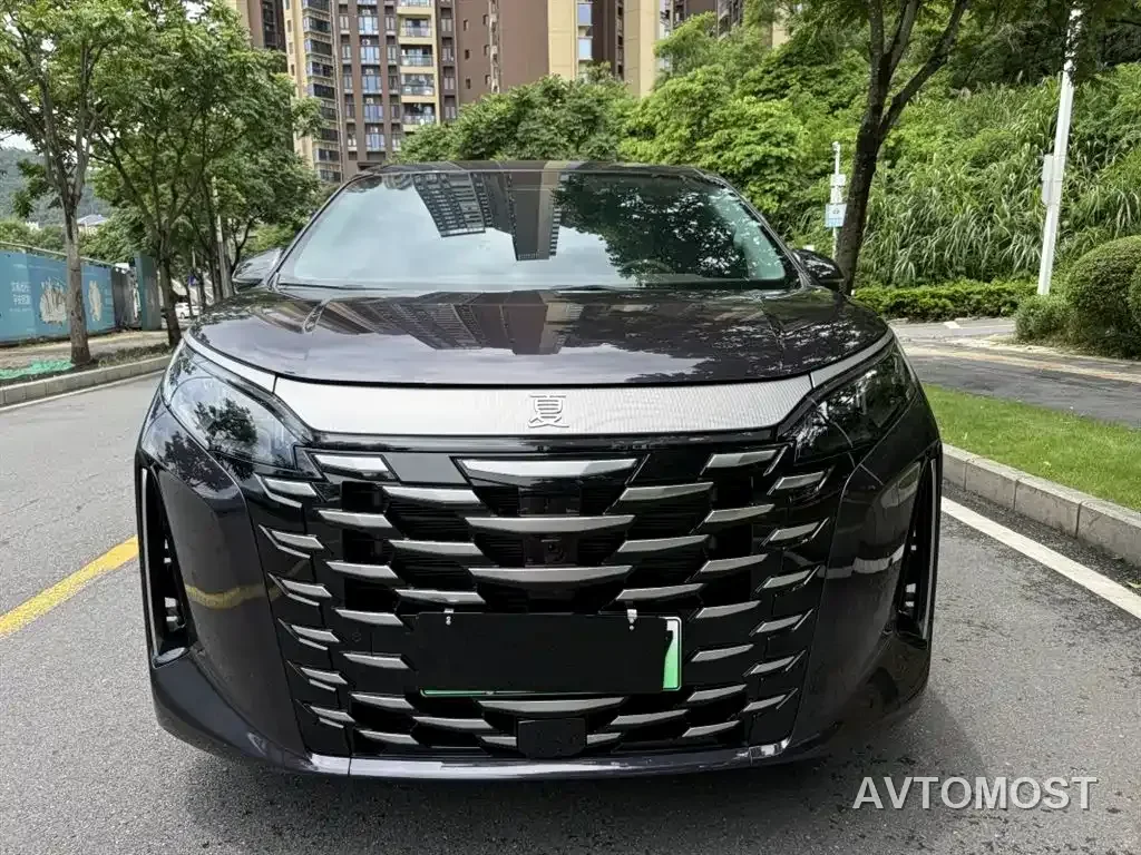 BYD Xia 2025 DM-i 1.5T 100km Surpass Edition — фото 2
