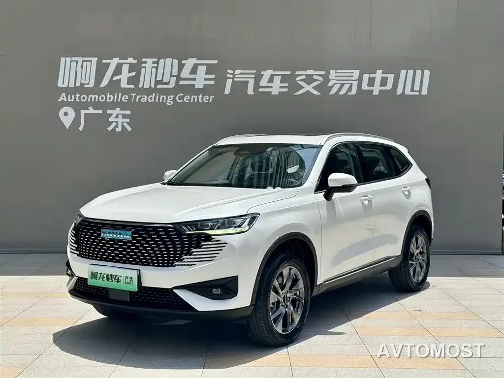 Haval H6 New Energy 2023 DHT-PHEV 110KM Joy Ride Edition — фото 13