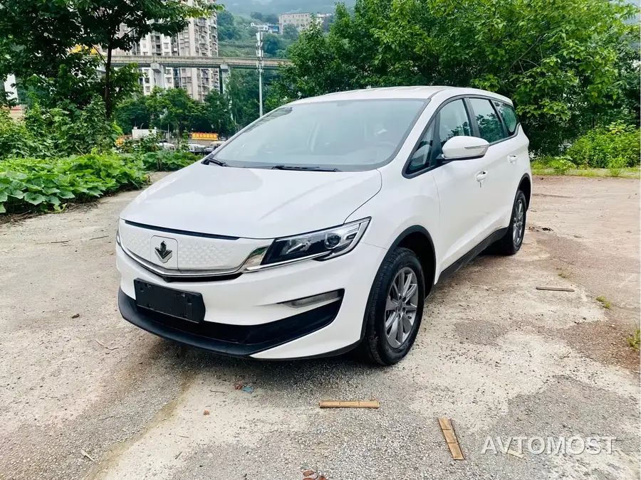 Ruilan Auto Maple 80v 2021 Youxing Edition Ternary Lithium
