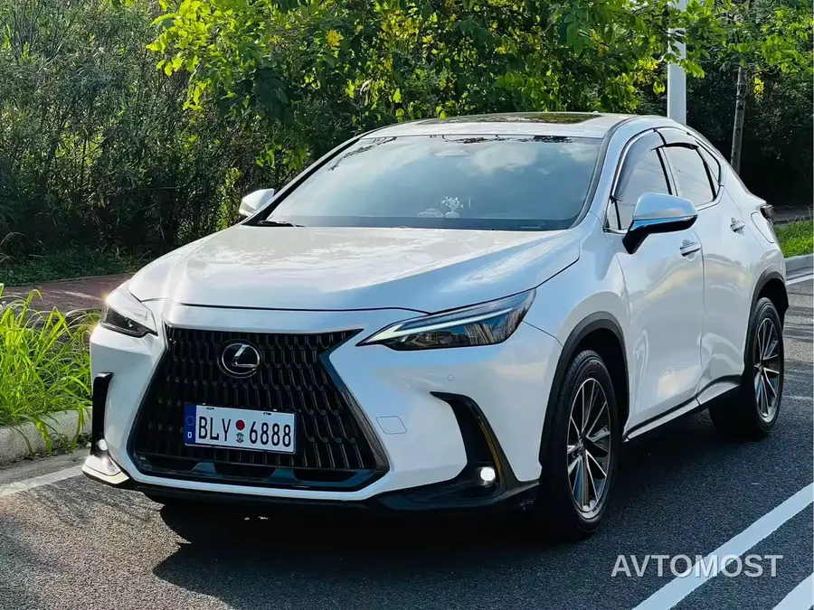 Lexus NX 2024 260 FWD Joy Creation Edition