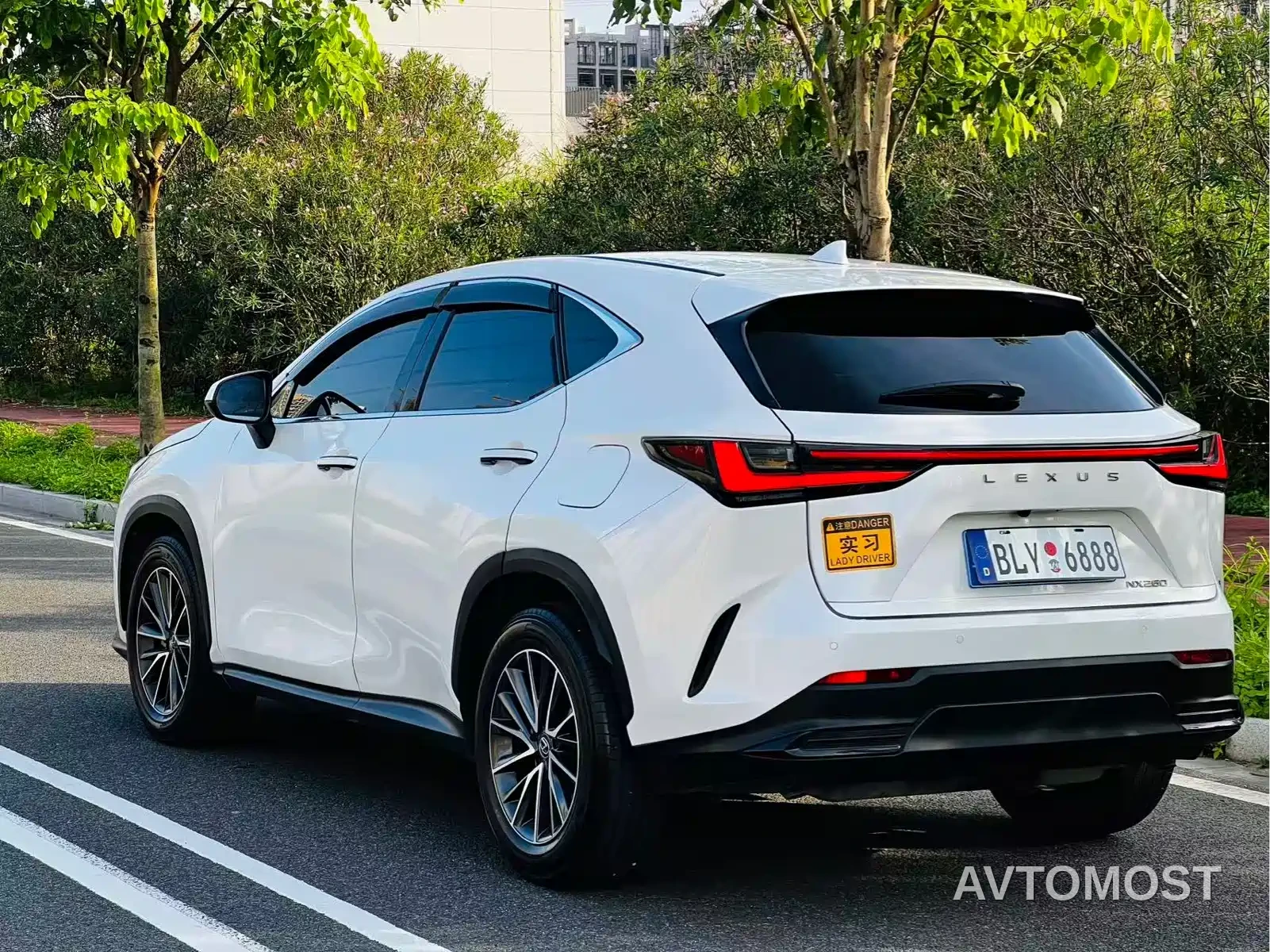Lexus NX 2024 260 FWD Joy Creation Edition — фото 5