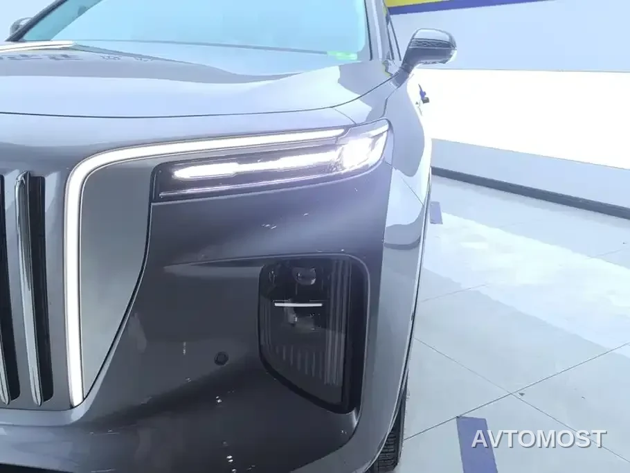 Hongqi E-HS9 2021 460km Flagship Comfort 6-seater — фото 4