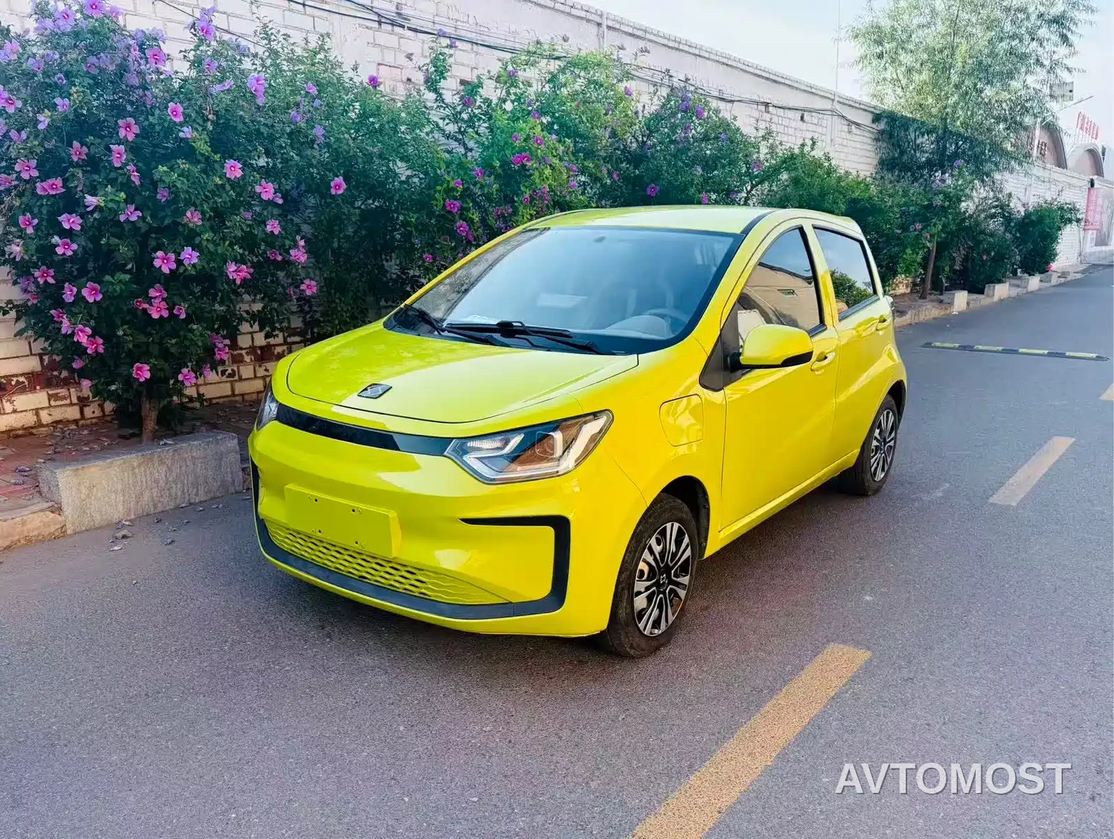 Sehol Flower Fairy 2021 200km Classic Edition — фото 1