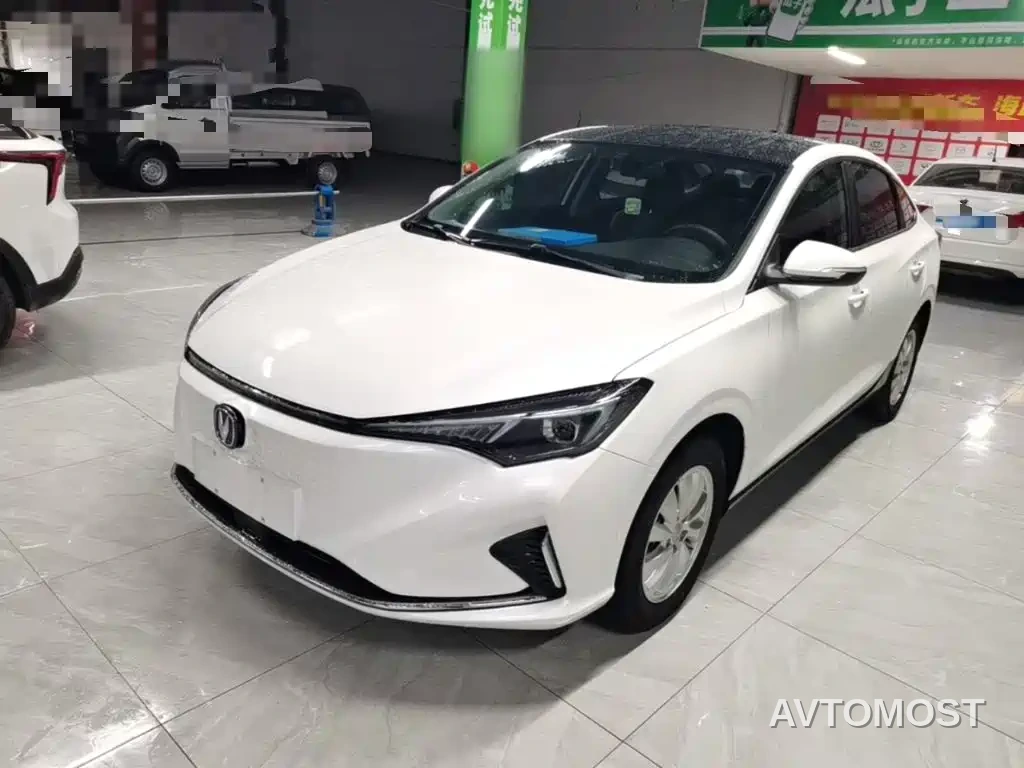Changan Eado New Energy 2022 EV460 Smart Ride-Hailing Edition (LFP) — фото 2