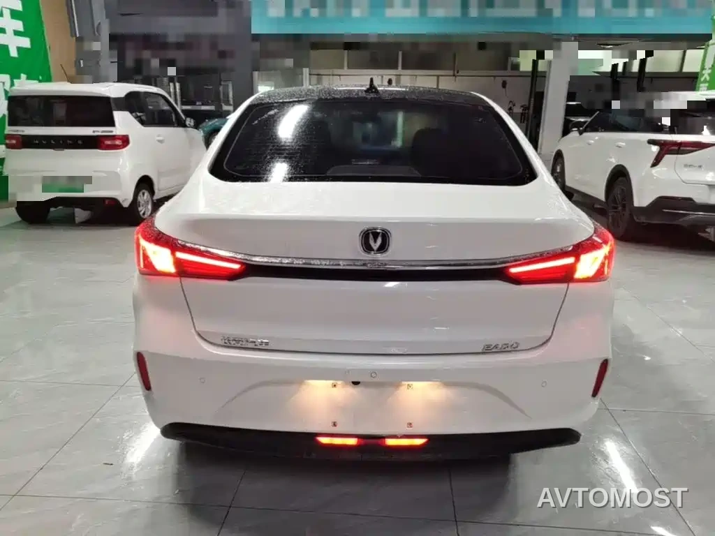 Changan Eado New Energy 2022 EV460 Smart Ride-Hailing Edition (LFP) — фото 6