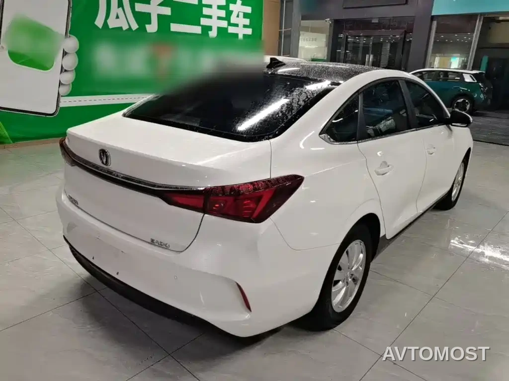Changan Eado New Energy 2022 EV460 Smart Ride-Hailing Edition (LFP) — фото 7