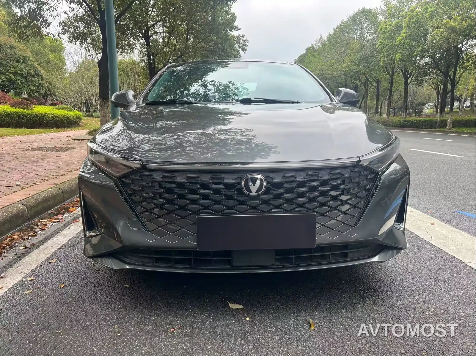 Changan Ruicheng PLUS 2023 1.5T DCT Navigation Edition — фото 2