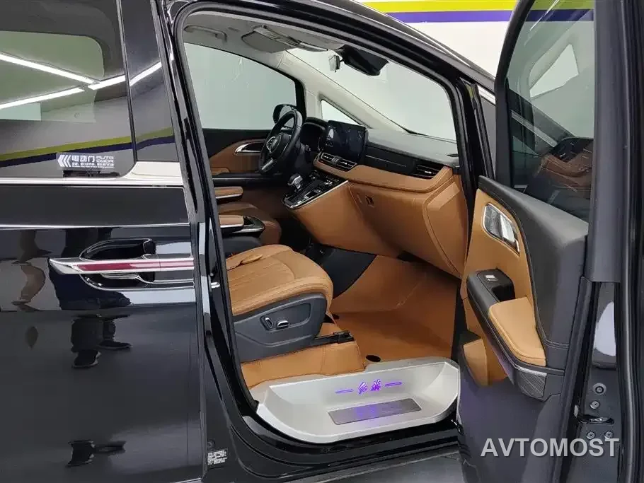 Hongqi HQ9 PHEV 2024 Model 2.0T AWD Business Edition — фото 8