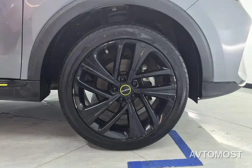Roewe RX5 New Energy 2020 ePLUS Guochao Ronglin Luxury Edition — фото 6