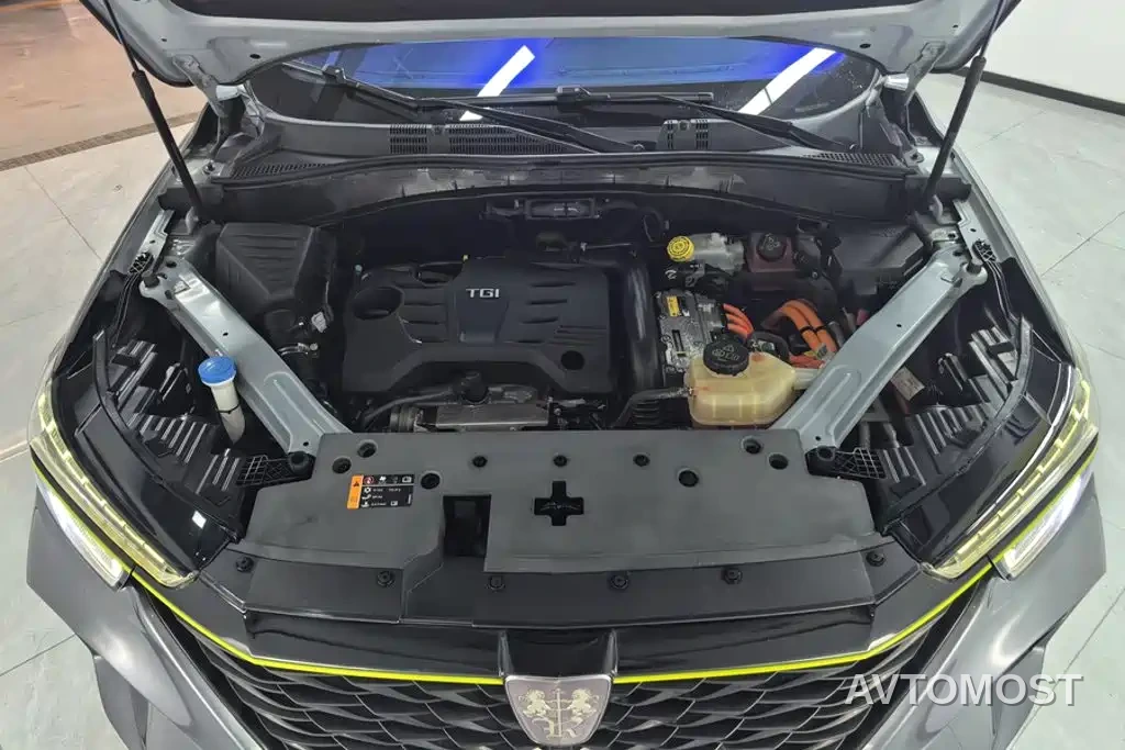 Roewe RX5 New Energy 2020 ePLUS Guochao Ronglin Luxury Edition — фото 10