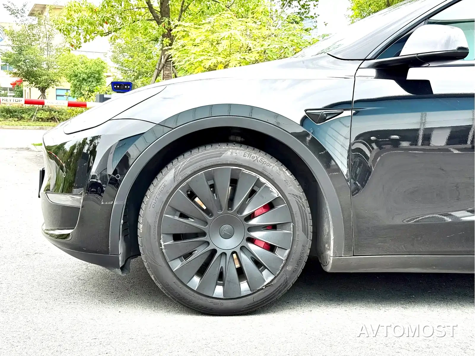 Tesla Model Y 2023 Rear-Wheel Drive Edition — фото 14