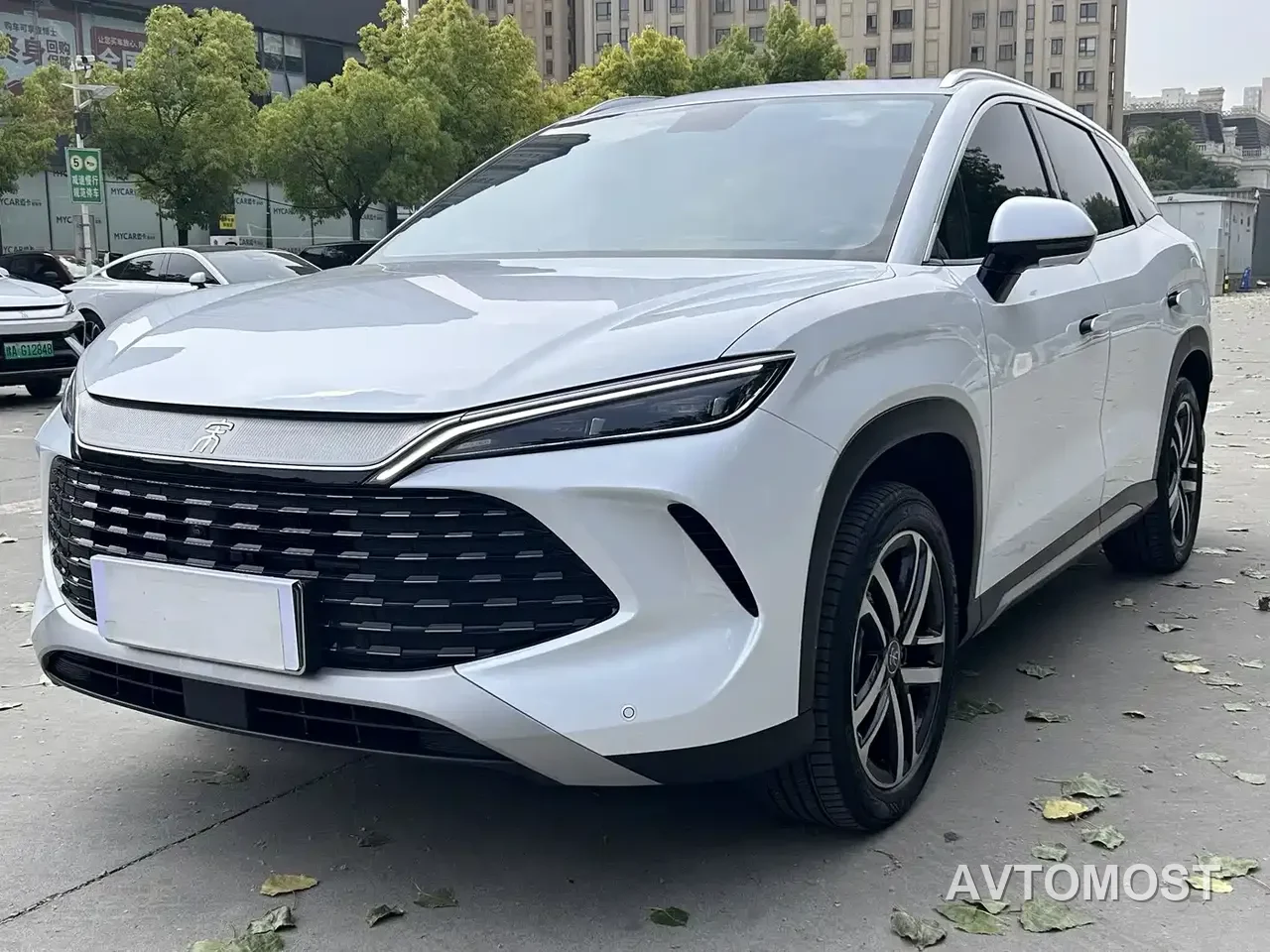 BYD Song L DM-i 2024 75km Leading Edition — фото 1