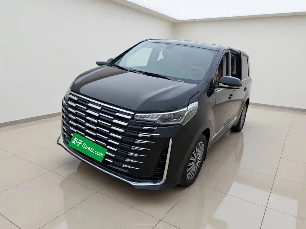 SAIC Maxus G10 2025 MAX 2.0T Automatic Flagship Edition Gasoline 7-Seater — фото 2