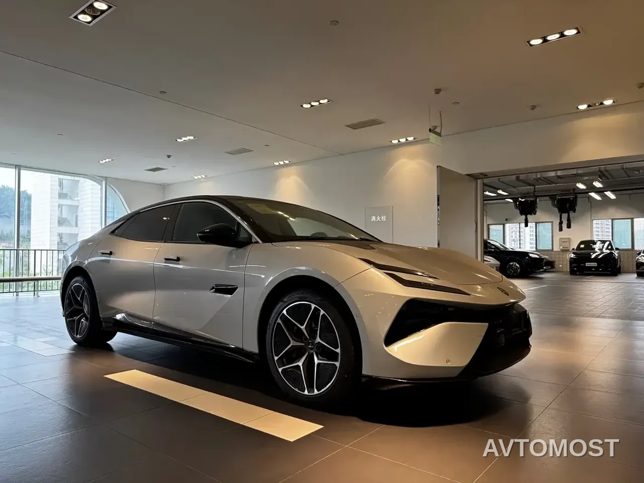 Lotus Cars EMEYA Blossom 2025 600 Wagon — фото 2