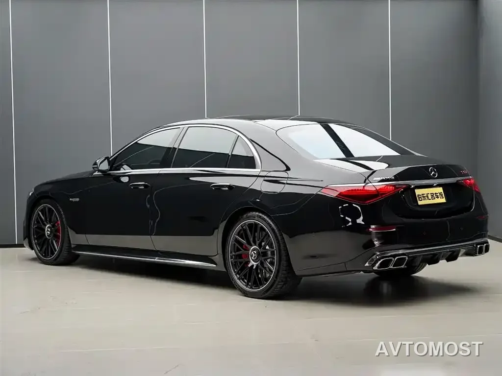 Mercedes-Benz S-Class AMG Hybrid 2024 AMG S 63 L E Performance — фото 19