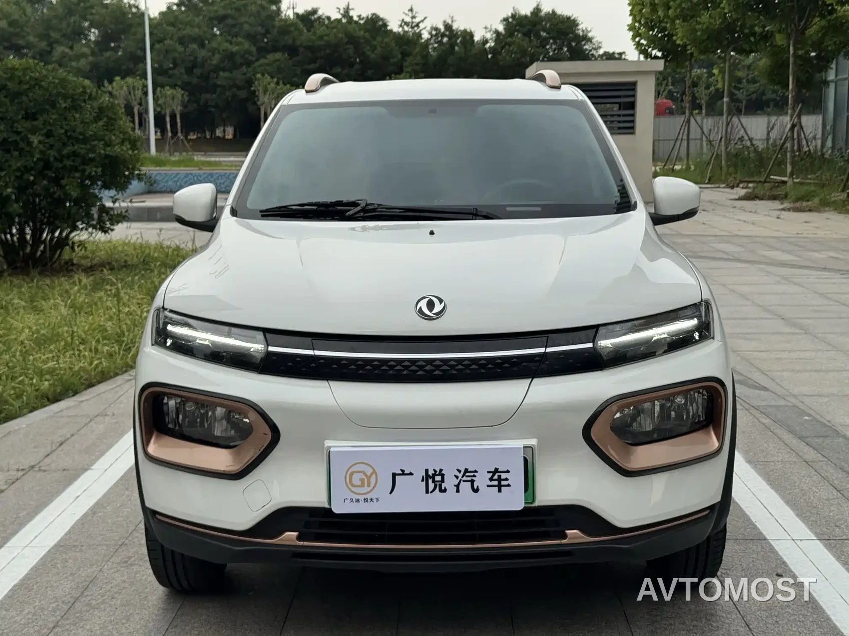 Dongfeng Nano EX1 2023 PRO Light Breeze Standard — фото 2
