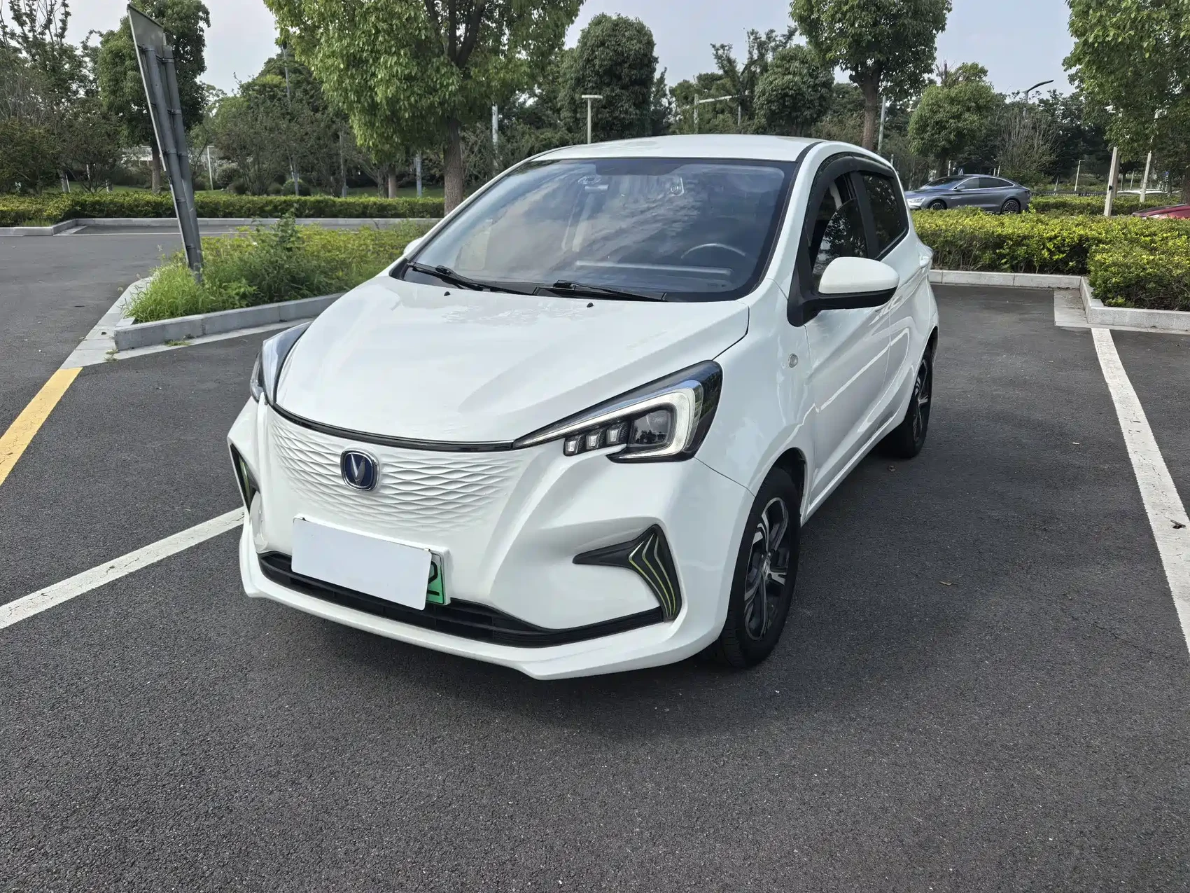 Changan Benben E-Star 2020 Heartjoy Edition NCM