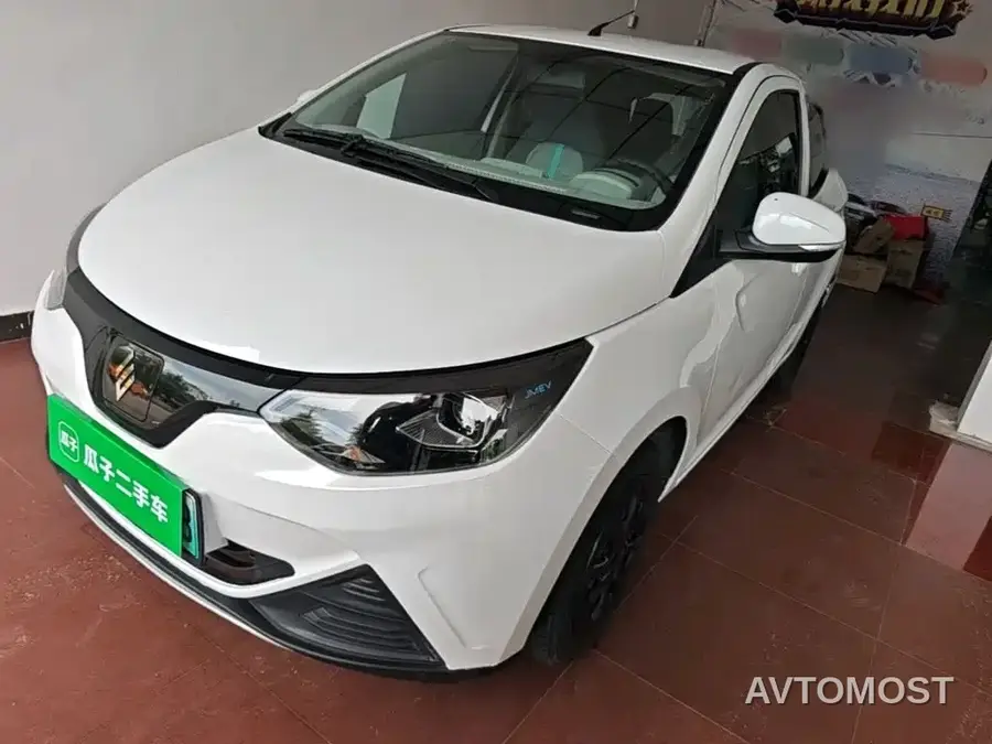 JMCG New Energy Little Kirin 2024 201km Comfort Model