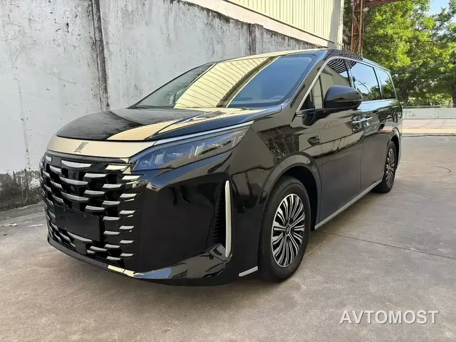 BYD Xia 2025 DM-i 1.5T 100km Surpass Edition