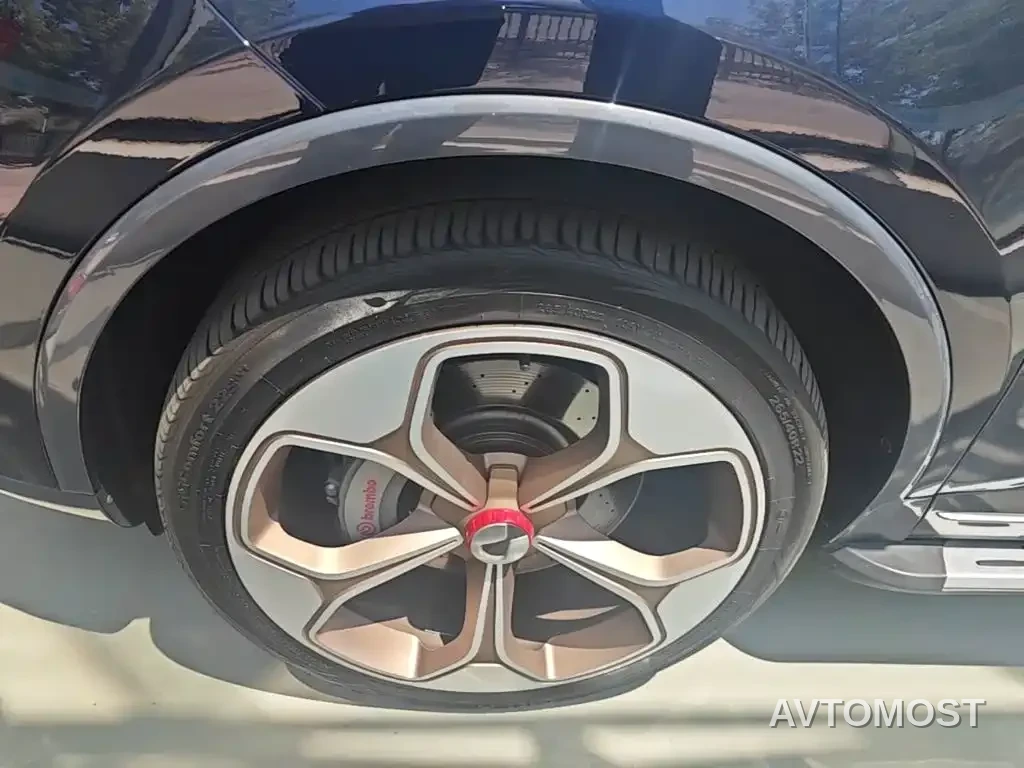 Denza X 2020 Model PHEV Flagship Edition — фото 21