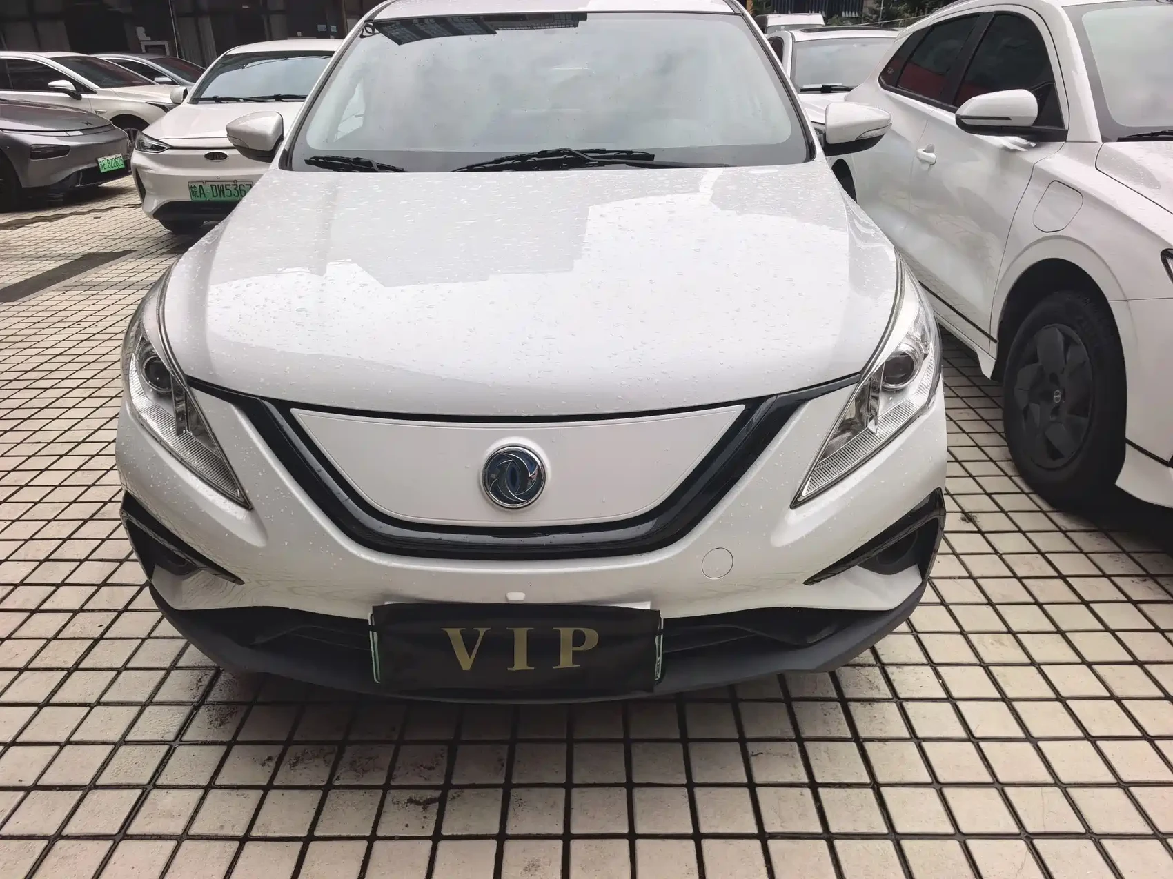 Dongfeng Fengxing S50EV 2020 Operation Model — фото 2