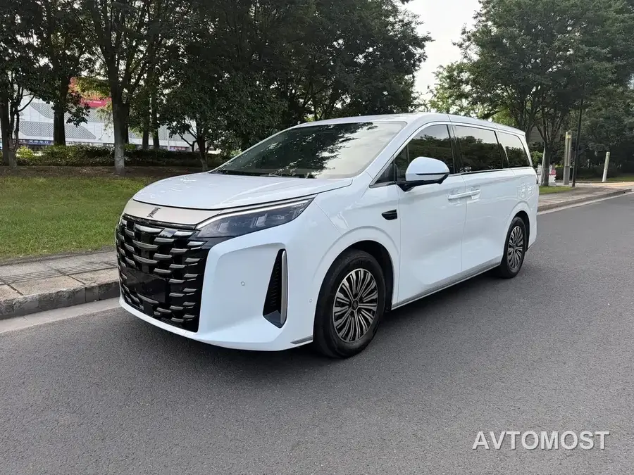 BYD Xia 2025 DM-i 1.5T 100km Surpass Edition