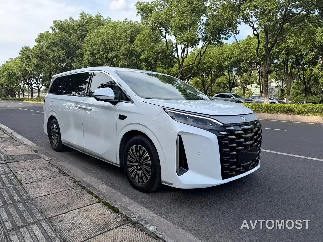 BYD Xia 2025 DM-i 1.5T 100km Surpass Edition — фото 2