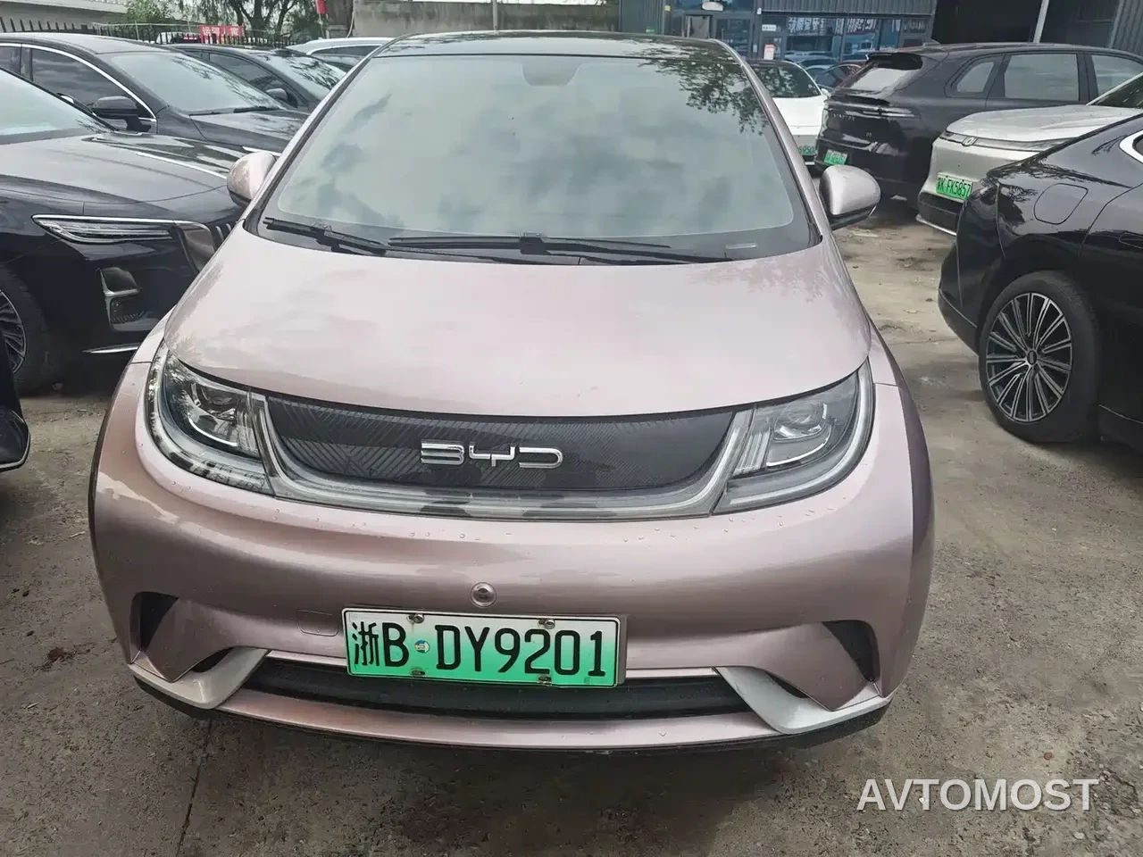 BYD Dolphin 2021 Model 405km Fashion Edition — фото 1