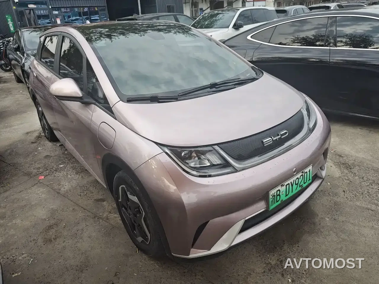 BYD Dolphin 2021 Model 405km Fashion Edition — фото 2