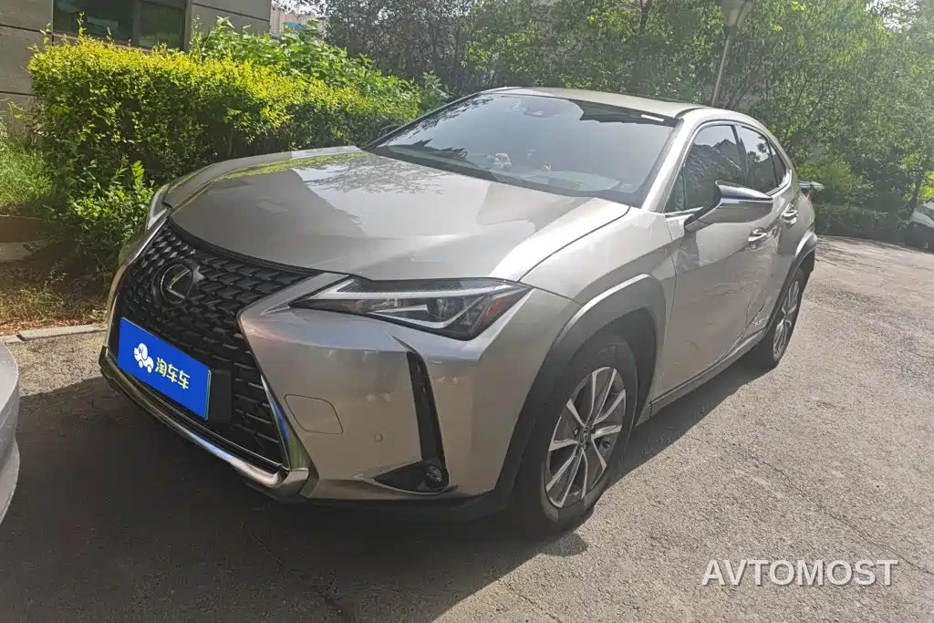 Lexus UX Electric 2020 300e Pure Yue Edition — фото 1