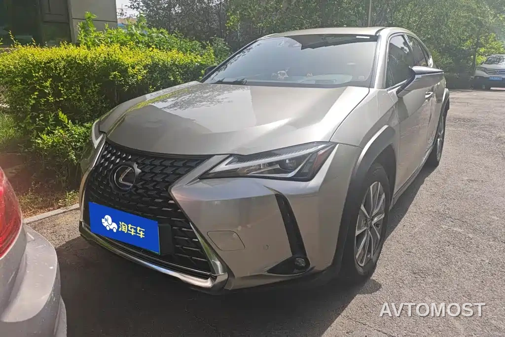 Lexus UX Electric 2020 300e Pure Yue Edition — фото 2