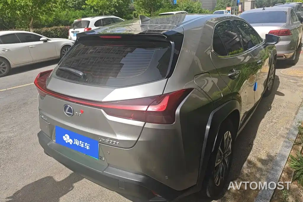 Lexus UX Electric 2020 300e Pure Yue Edition — фото 3