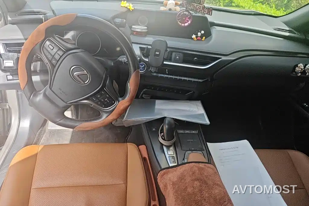 Lexus UX Electric 2020 300e Pure Yue Edition — фото 10