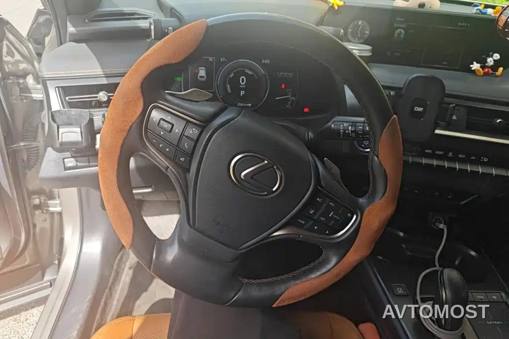Lexus UX Electric 2020 300e Pure Yue Edition — фото 13