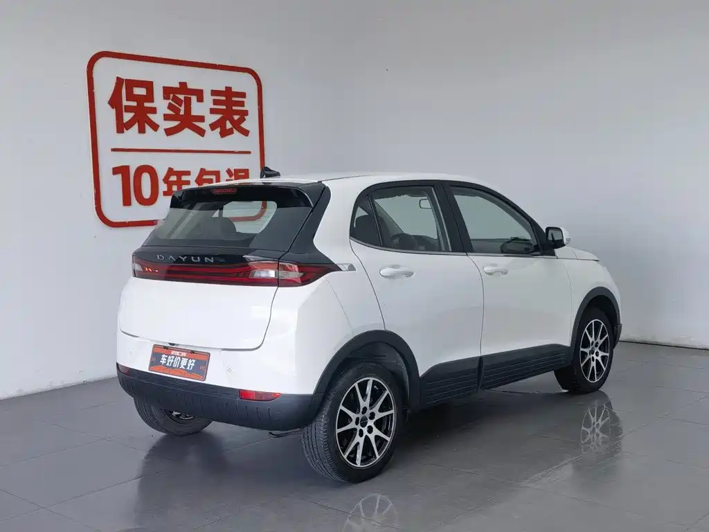 Dayun Yuehu 2021 32.85kWh 2WD Elf Edition — фото 2