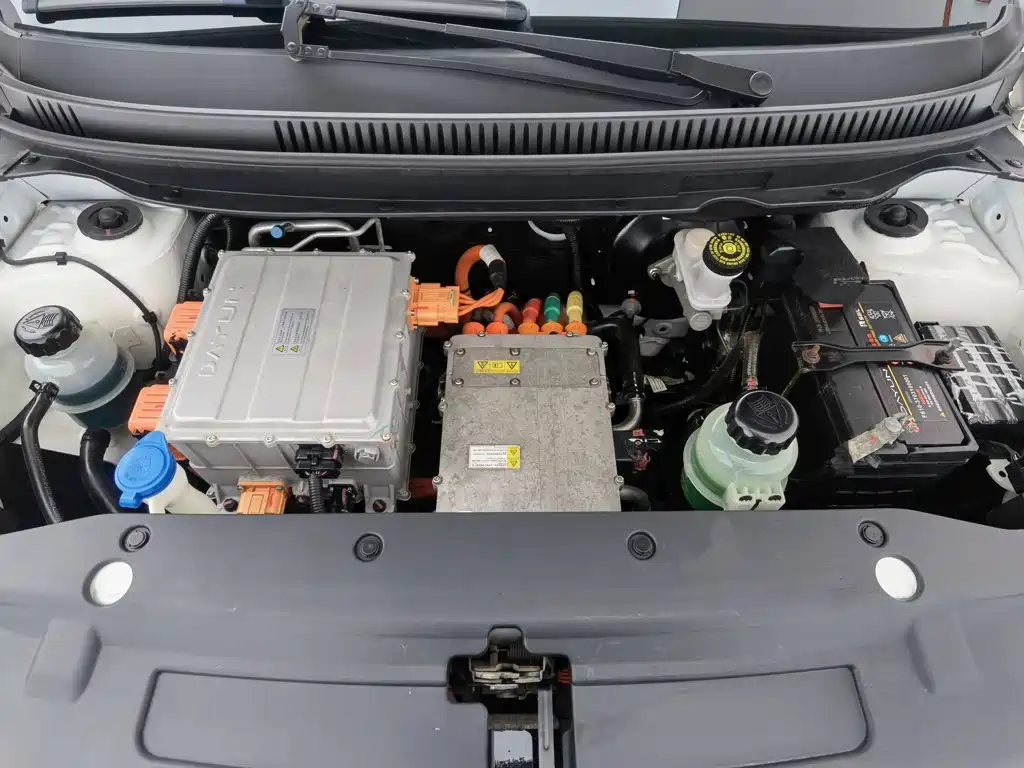 Dayun Yuehu 2021 32.85kWh 2WD Elf Edition — фото 6