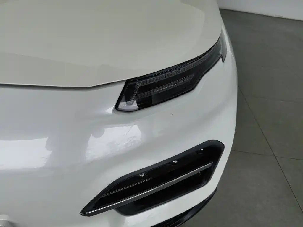 Dayun Yuehu 2021 32.85kWh 2WD Elf Edition — фото 7