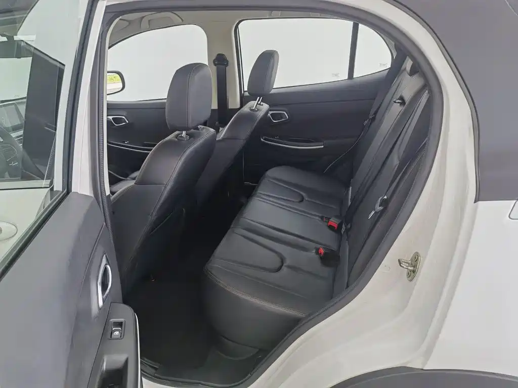 Dayun Yuehu 2021 32.85kWh 2WD Elf Edition — фото 15